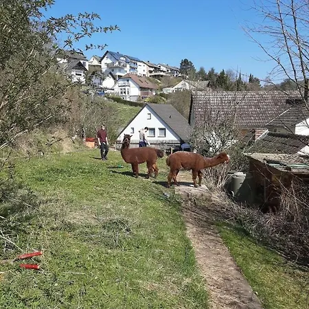 Ferienwohnung Traumblick - A33054 Apartment Morschen